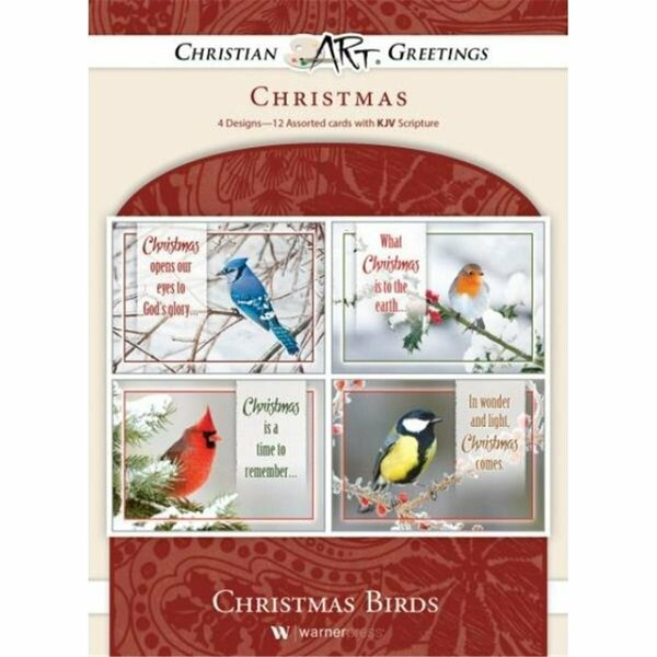 Go-Go Christmas Birds Assorted Card, 12PK GO3321811